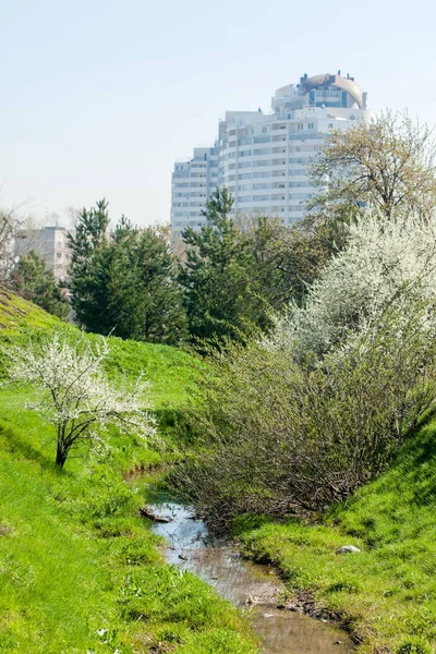 Kazakistan, erken bahar. Ülkenin ilk başkanı Park. Central park güneşli gün. güzel yeşil park
