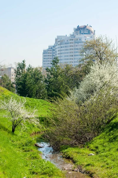Kazakistan, erken bahar. Ülkenin ilk başkanı Park. Central park güneşli gün. güzel yeşil park