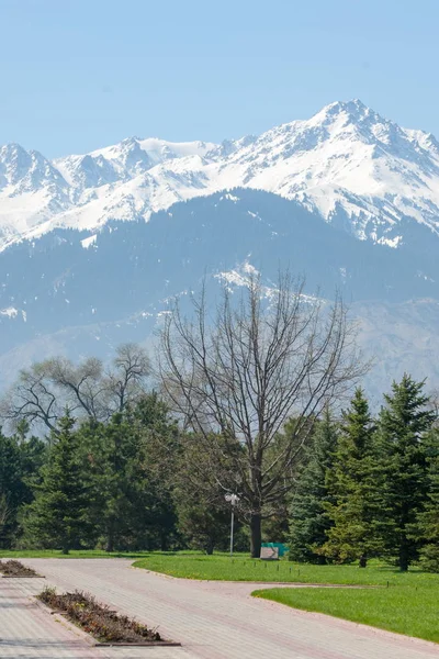 Kazakistan, erken bahar. Ülkenin ilk başkanı Park. Central park güneşli gün. güzel yeşil park