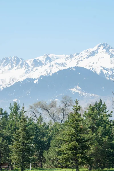Kazakistan, erken bahar. Ülkenin ilk başkanı Park. Central park güneşli gün. güzel yeşil park