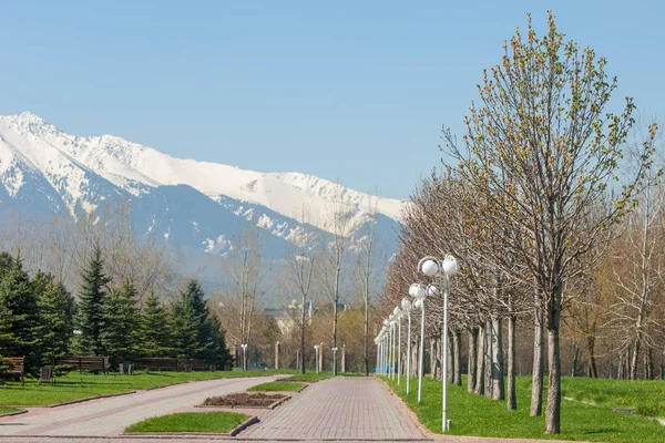 Kazakistan, erken bahar. Ülkenin ilk başkanı Park. Central park güneşli gün. güzel yeşil park