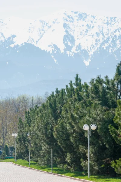 Kazakistan, erken bahar. Ülkenin ilk başkanı Park. Central park güneşli gün. güzel yeşil park