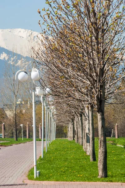 Kazakistan, erken bahar. Ülkenin ilk başkanı Park. Central park güneşli gün. güzel yeşil park