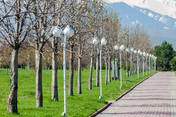 Kazakistan, erken bahar. Ülkenin ilk başkanı Park. Central park güneşli gün. güzel yeşil park