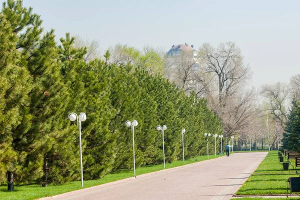 stock image Kazakhstan, early spring. Park of the first president of the country. Central park at sunny day. beautiful green park