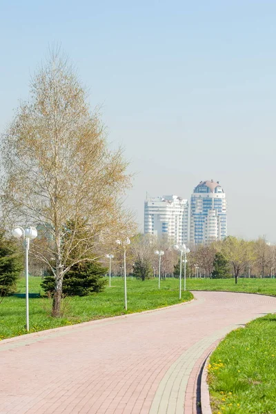 Kazakistan, erken bahar. Ülkenin ilk başkanı Park. Central park güneşli gün. güzel yeşil park