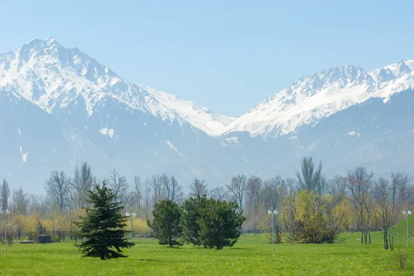 Kazakistan, erken bahar. Ülkenin ilk başkanı Park. Central park güneşli gün. güzel yeşil park
