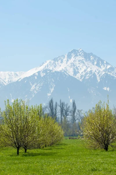 Kazakistan, erken bahar. Ülkenin ilk başkanı Park. Central park güneşli gün. güzel yeşil park
