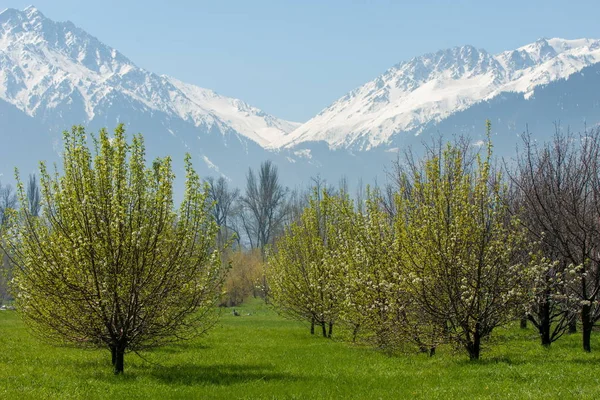 Kazachstan Wczesną Wiosną Park Pierwszego Prezydenta Kraju Central Park Słoneczny — Zdjęcie stockowe