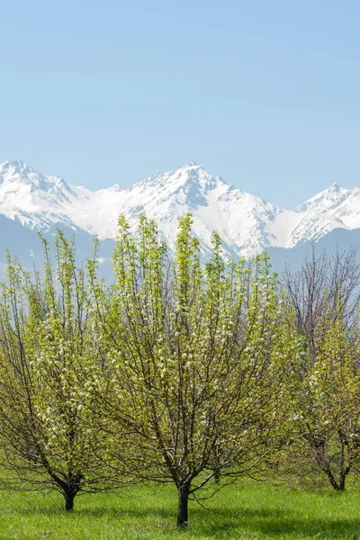 Kazakhstan Early Spring Park First President Country Central Park Sunny — Stock Photo, Image