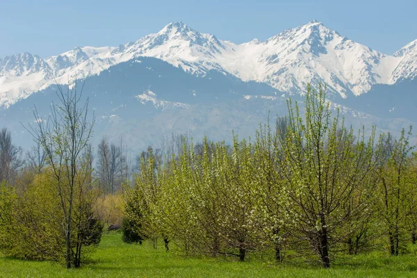Kazakistan, erken bahar. Ülkenin ilk başkanı Park. Central park güneşli gün. güzel yeşil park