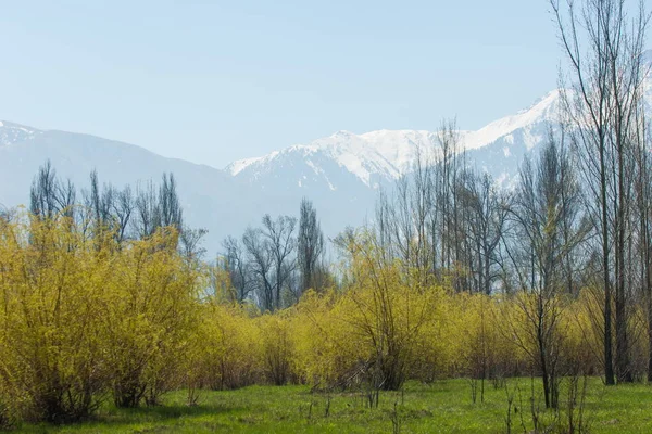 Kazakistan Erken Bahar Ülkenin Ilk Başkanı Park Central Park Güneşli — Stok fotoğraf