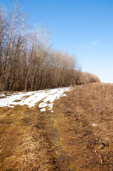 Bahar son kar. Toprak yolun son kar ile kaplı. Bu yıl harika zaman