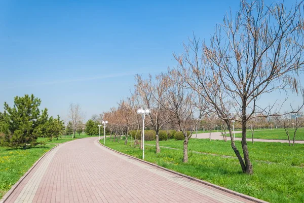Kazakistan, erken bahar. Ülkenin ilk başkanı Park. Central park güneşli gün. güzel yeşil park