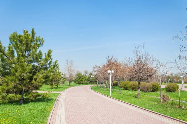 Kazakistan, erken bahar. Ülkenin ilk başkanı Park. Central park güneşli gün. güzel yeşil park