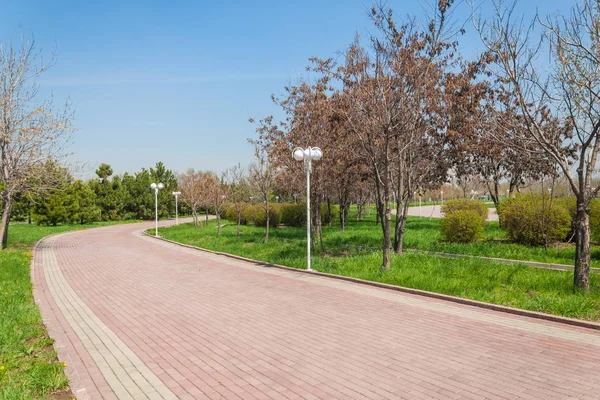 Kazakistan, erken bahar. Ülkenin ilk başkanı Park. Central park güneşli gün. güzel yeşil park