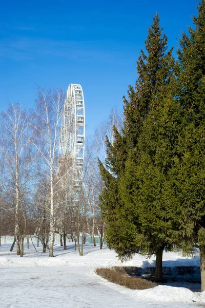 Park Het Voorjaar Lunchpakket Sneeuw Ferris Wheel — Stockfoto