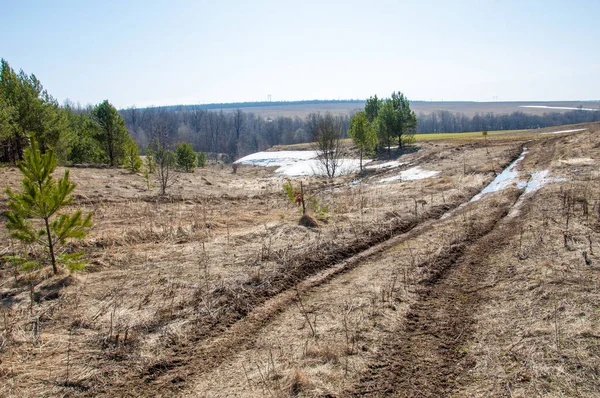 Bahar son kar. Toprak yolun son kar ile kaplı. Bu yıl harika zaman