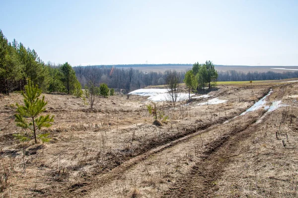 Bahar son kar. Toprak yolun son kar ile kaplı. Bu yıl harika zaman