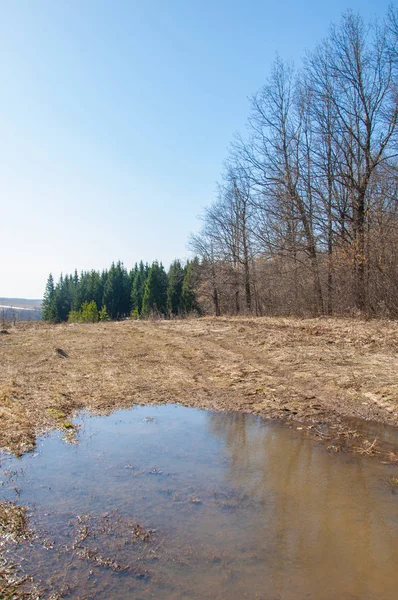 Bahar son kar. Toprak yolun son kar ile kaplı. Bu yıl harika zaman