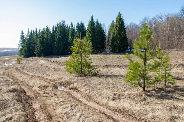 Bahar son kar. Toprak yolun son kar ile kaplı. Bu yıl harika zaman