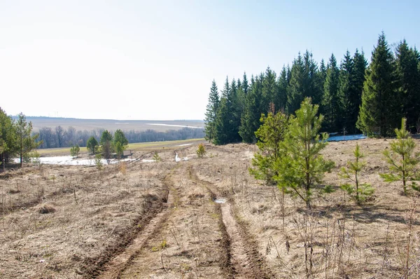 Bahar son kar. Toprak yolun son kar ile kaplı. Bu yıl harika zaman