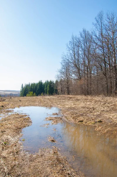 Bahar son kar. Toprak yolun son kar ile kaplı. Bu yıl harika zaman