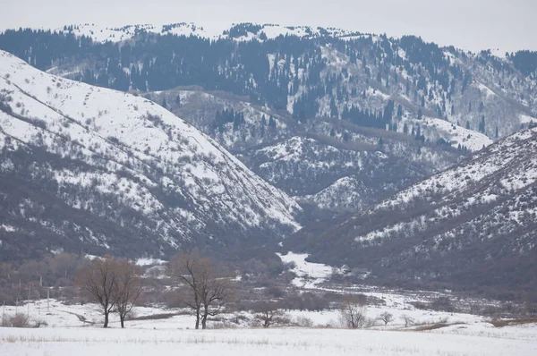 Bahar manzara, ilkbahar toprak yol. Trans-Ili Alatau eteklerinde