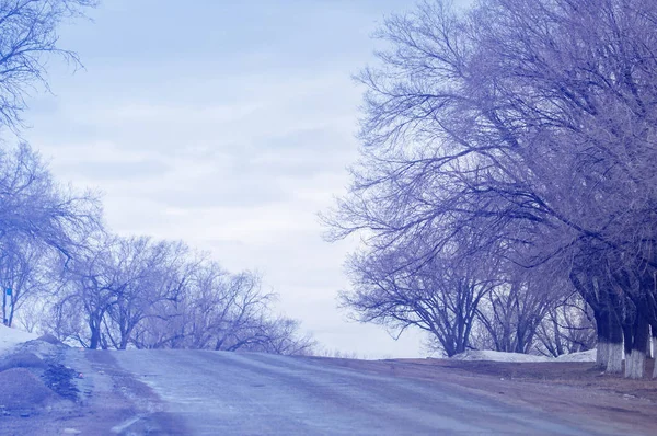 Frühlingslandschaft Vorfrühling Feldweg Die Ausläufer Des Trans Ili Alatau — Stockfoto