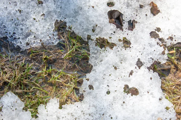 Textur Hintergrund Frühlingslandschaft Der Letzte Schnee Löschen Der Strahlend Warmen — Stockfoto