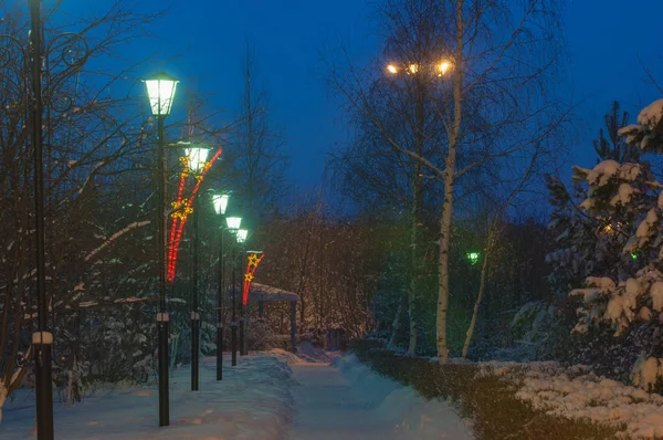 Winter Winter Tij Winter Tijd Hibernate Hij Koudste Seizoen Van — Stockfoto