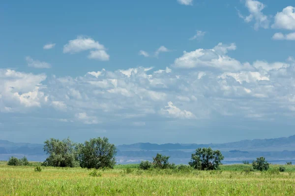 Steppe Prärie Veld Veldt Eine Große Fläche Flaches Unbewaldetes Grünland — Stockfoto