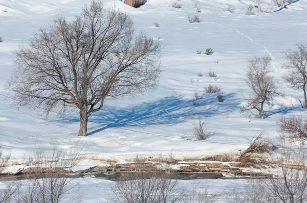  Bahar rüşvet nehir Buzları kırar