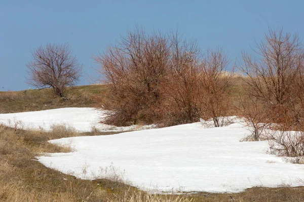 Son kar bahar yol verir. Bahar, yatay bir dere. Dağlarda kar son erime