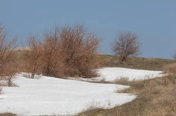 Son kar bahar yol verir. Bahar, yatay bir dere. Dağlarda kar son erime