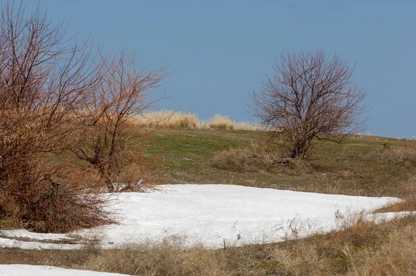 Son kar bahar yol verir. Bahar, yatay bir dere. Dağlarda kar son erime
