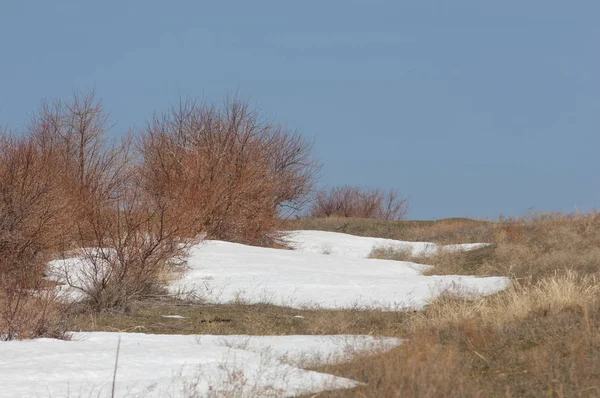 Son kar bahar yol verir. Bahar, yatay bir dere. Dağlarda kar son erime