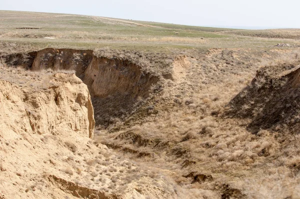 kum bahar bozkır. ağaçlar ve kum mavi gökyüzü arka plan üzerinde. Kazakistan bozkırlarında