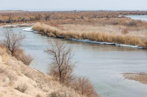 kum. Bahar. su. kar. haloxylon. Orta Asya, sinkiang, haloxylon ammodendron, haloxylon persicum, beyaz saxaul, saxaul serçe, plantae, kapalı tohumlular, fikir, temel fikir, caryophyllales, amaranthaceae, salsoloideae, Kuru, çöl, gökyüzü, bl