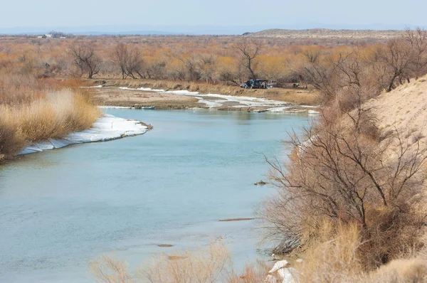 kum. Bahar. su. kar. haloxylon. Orta Asya, sinkiang, haloxylon ammodendron, haloxylon persicum, beyaz saxaul, saxaul serçe, plantae, kapalı tohumlular, fikir, temel fikir, caryophyllales, amaranthaceae, salsoloideae, Kuru, çöl, gökyüzü, bl