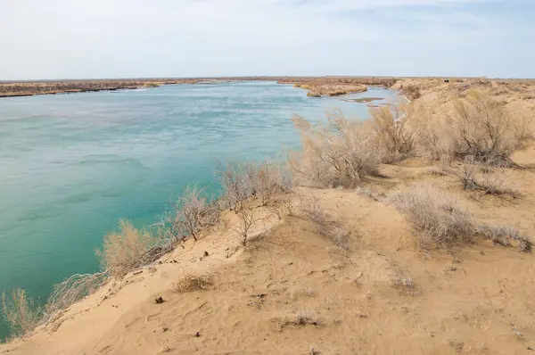 kum. Bahar. su. kar. haloxylon. Orta Asya, sinkiang, haloxylon ammodendron, haloxylon persicum, beyaz saxaul, saxaul serçe, plantae, kapalı tohumlular, fikir, temel fikir, caryophyllales, amaranthaceae, salsoloideae, Kuru, çöl, gökyüzü, bl