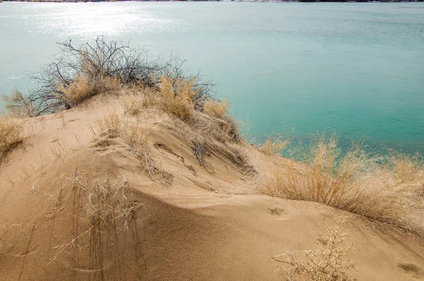 kum. Bahar. su. kar. haloxylon. Orta Asya, sinkiang, haloxylon ammodendron, haloxylon persicum, beyaz saxaul, saxaul serçe, plantae, kapalı tohumlular, fikir, temel fikir, caryophyllales, amaranthaceae, salsoloideae, Kuru, çöl, gökyüzü, bl