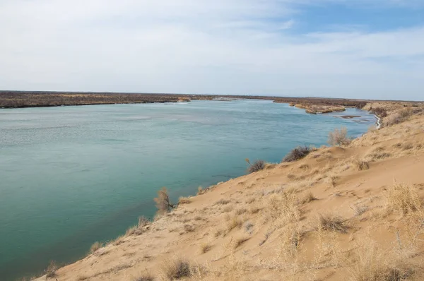 kum. Bahar. su. kar. haloxylon. Orta Asya, sinkiang, haloxylon ammodendron, haloxylon persicum, beyaz saxaul, saxaul serçe, plantae, kapalı tohumlular, fikir, temel fikir, caryophyllales, amaranthaceae, salsoloideae, Kuru, çöl, gökyüzü, bl