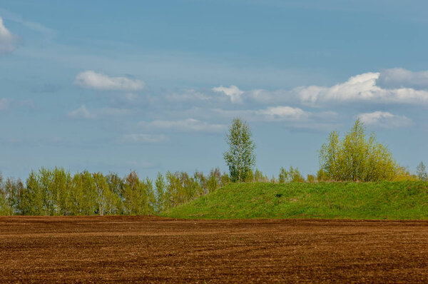 Green landscape.sunset on spring field.  Sunlight in the green forest, spring time. Green meadow under blue sky with clouds. 