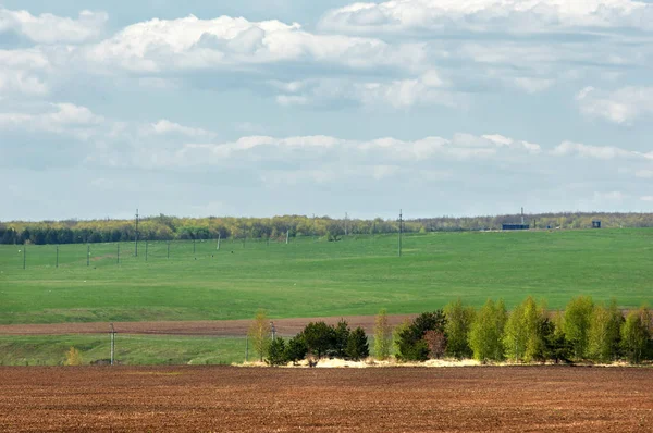 Bahar alanda yeşil landscape.sunset. gün ışığında yeşil orman, bahar zamanı. bulutlar ile mavi gökyüzünün altında yeşil çayır. 