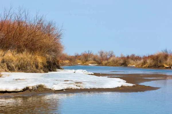 最後の氷が川 最後の流氷 イリ川の氷は最後に針します 中央アジア カザフスタンの草原 — ストック写真