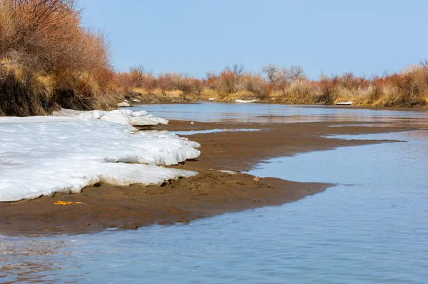 nehir son buz. Son buz parçası. son buz Ili Nehri üzerinde iğne. Orta Asya, Kazakistan bozkırlarında