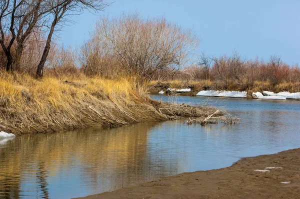 nehir son buz. Son buz parçası. son buz Ili Nehri üzerinde iğne. Orta Asya, Kazakistan bozkırlarında