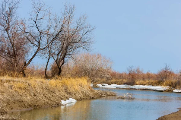 nehir son buz. Son buz parçası. son buz Ili Nehri üzerinde iğne. Orta Asya, Kazakistan bozkırlarında