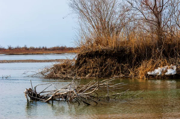 Último Hielo Del Río Último Témpano Última Aguja Hielo Río — Foto de Stock